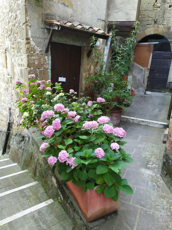 Mozzafiato Pitigliano Leilighet Eksteriør bilde